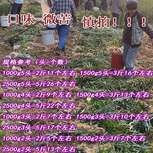 2026年宜兴新鲜大百合5斤3斤1000g宜兴特产现挖农家食用微苦百合 - 图0