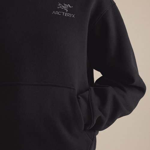ARC'TERYX始祖鸟 EMBLEM FLEECE HOODY 女子 抓绒衫 - 图2
