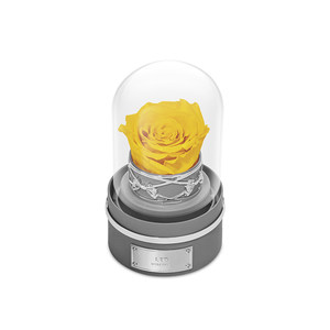 ROSEONLY诺誓永生花星座音乐球玫瑰礼盒送女友爱人情人节礼物