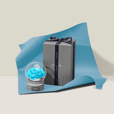 Roseonly永生玫瑰十二星座守护色永生花音乐球礼盒 虎窝淘
