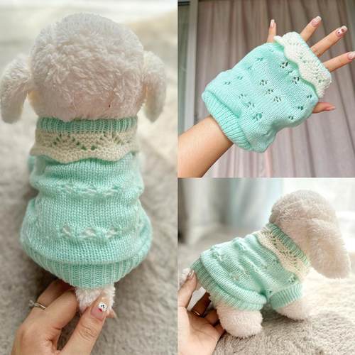 小狗狗衣服秋冬款宠物小猫咪冬季保暖柯基比熊泰迪幼犬幼猫小型犬 - 图2