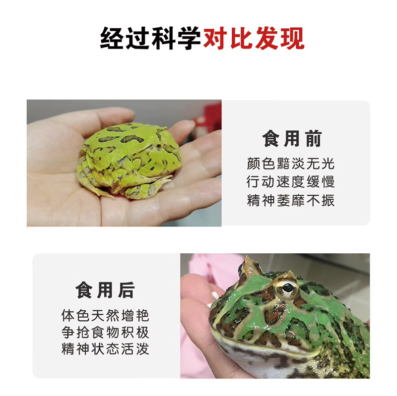 圆通包邮 无菌活体 小白鼠乳鼠红皮粉皮白霜睁眼爬宠角蛙开食饲料 - 图3