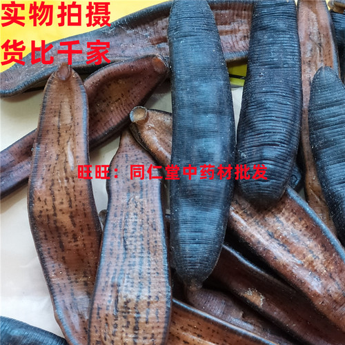 50克 生水蛭蚂蟥 可打粉 品质精选天然天然无添加 - 图0