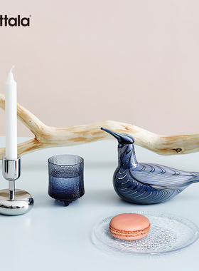 iittala手工制作玻璃鸟装饰摆件