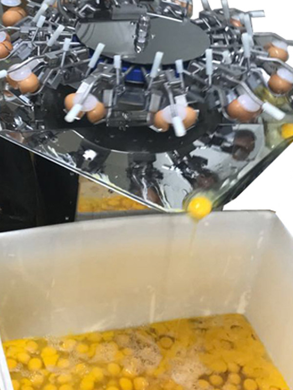 全自动敲蛋机，全自动打蛋机，全自动磕蛋机，全自动蛋壳分离机,淘宝优惠券,粉丝福利购,淘宝优惠卷