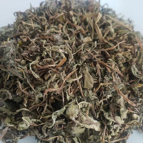 蒲公英 正品无硫干货野生 蒲公英草 蒲公草婆婆丁 中药材500g包邮 - 图1