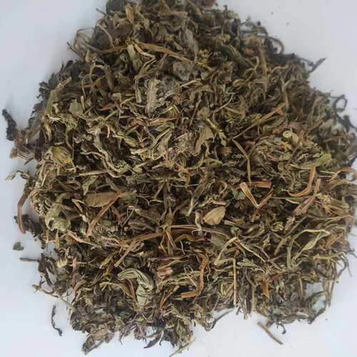 蒲公英 正品无硫干货野生 蒲公英草 蒲公草婆婆丁 中药材500g包邮 - 图2