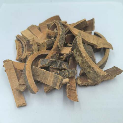 秦皮 梣皮 厚秦皮 秦白皮 岑皮 中药材供应 500g克包邮 - 图2