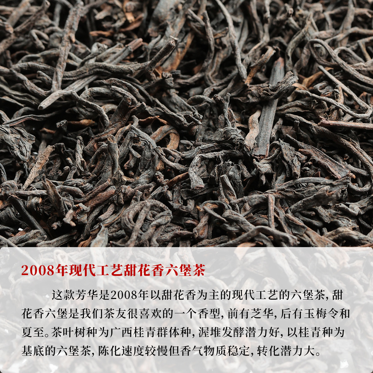 栖凤居芳华2008年甜花香六堡黑茶50g/250g/500g甜豆沙韵醇厚绵密,淘宝优惠券,粉丝福利购,淘宝优惠卷