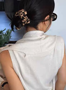 港风复古~气质豹纹大肠发圈