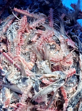 黄花鱼绞鱼肉机器鱼泥加工