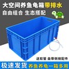 Large turtle box plastic turtle tank breeding box aquarium fish tank landscaping villa open ecological turnover box