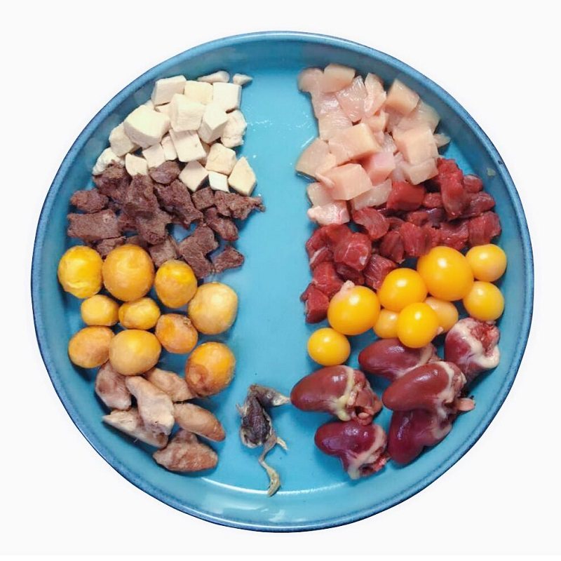 宠物增肥冻干生骨肉狗狗零食猫咪冻干鹌鹑三文鱼鸡肉一斤500g大袋,淘宝优惠券,粉丝福利购,淘宝优惠卷