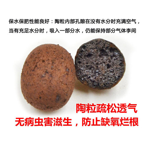 陶粒垫底陶粒花用阳台养花防烂根透气花卉陶粒铺面水培回填卫生间 - 图1