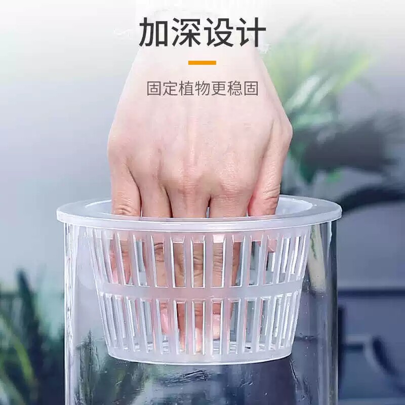 图5