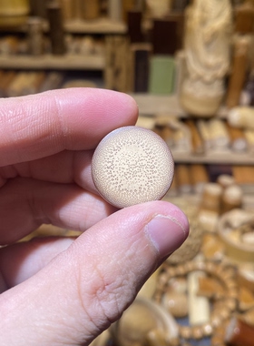 22-7mm红皮捷径圆片片，一物一链接，拍了下架，远山工实心玉竹