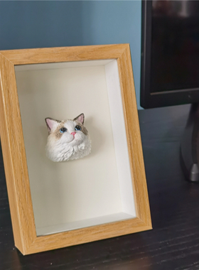 宠物猫咪定制室内家居相框摆件布偶英短美短加菲手绘宠物纪念饰品
