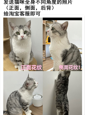 定制猫咪可爱车载室内香薰摆件礼物宠物纪念英短美短布偶加菲橘猫