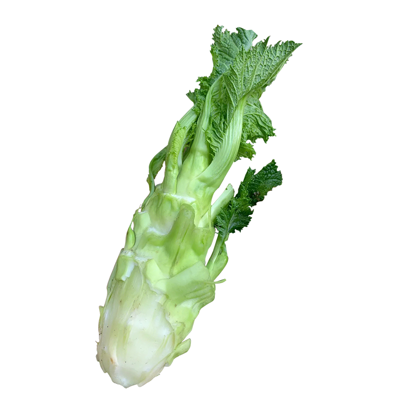 四川罐儿菜种子芥菜种籽子青菜头四季种植秋后秋季蔬菜籽种孑大全,淘宝优惠券,粉丝福利购,淘宝优惠卷