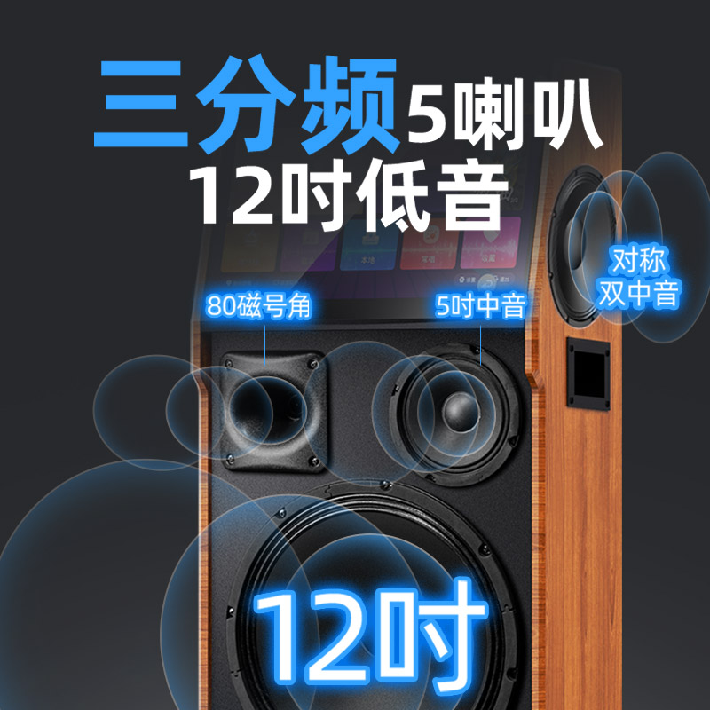山水TA126广场舞音响带显示屏户外音箱k歌专业移动ktv便携式话筒