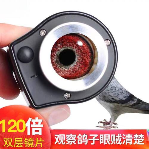 手持放大镜鉴定专用120倍高清宝石珠宝文玩鸽子眼高倍照布茅台酒 - 图2