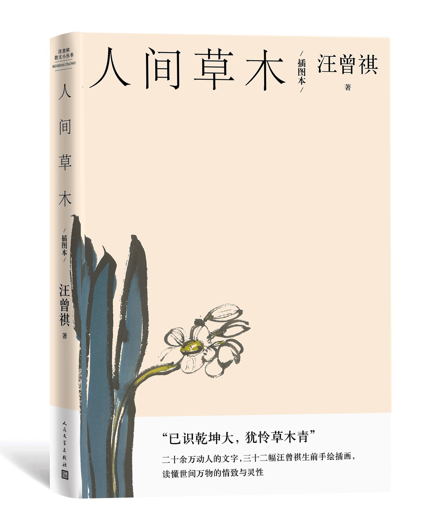 人间草木（插图本）汪曾祺经典谈草木虫鱼 赠藏书票 散文二十万字画作32副生前手绘插图 人民文学出版社 - 图0