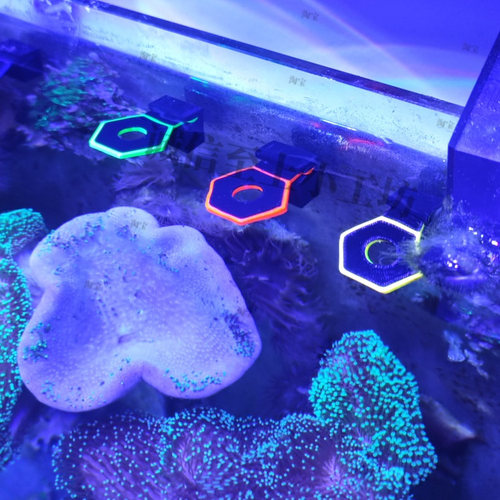 强磁荧光珊瑚断肢架吸悬浮托盘T型基座硬骨软体发光亮六角单孔架 - 图3