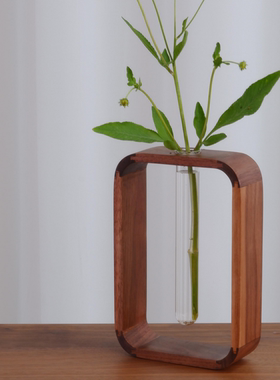 北美黑胡桃实木试管花瓶客厅透明玻璃桌面摆件富贵竹绿萝水培花器