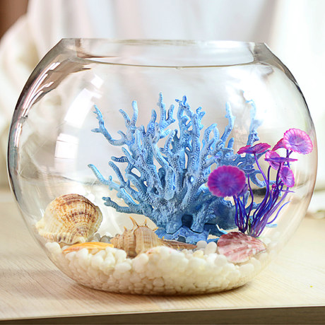small round fish tank