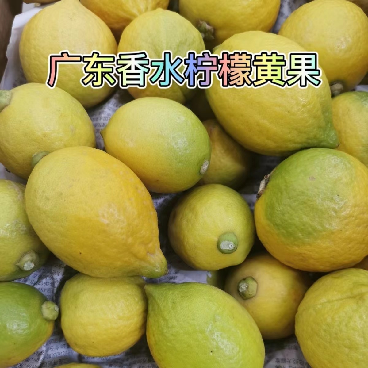 广东香水柠檬黄果柠檬5斤 10斤新鲜现摘无籽奶茶店专用手打柠檬茶-图0