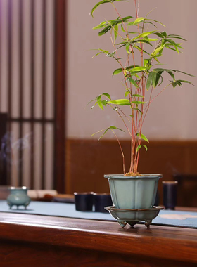 北宋官窑钧窑花盆博物馆复刻件菱花式葵花式六方式海棠式钧瓷花盆