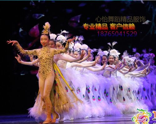 小荷风采小白翎儿童舞蹈表演服装舞台演出服新款孔雀舞傣族舞蹈白 - 图1