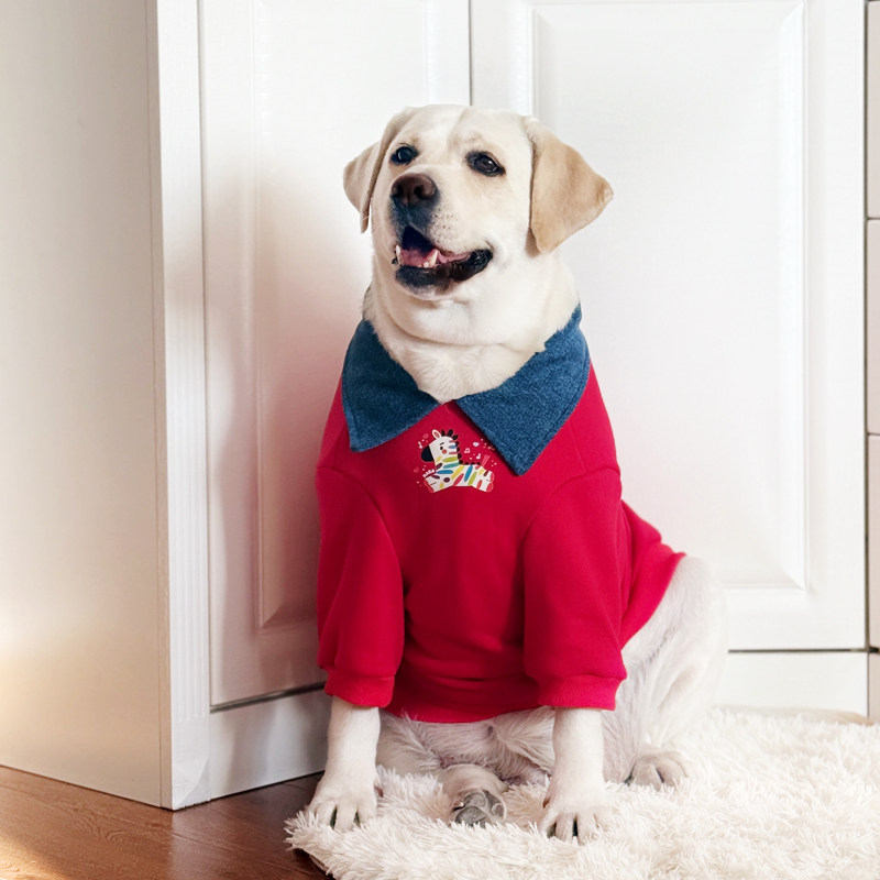 大型犬衣服拉布拉多金毛新年衣服马年喜庆过年保暖冬宠物加绒衣服,淘宝优惠券,粉丝福利购,淘宝优惠卷