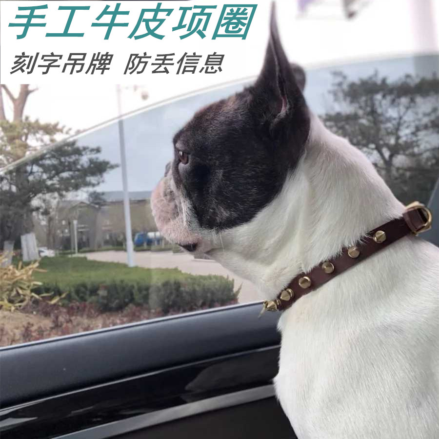 格力犬项圈惠比特细狗脖套灵缇脖圈牛皮宠物颈圈装饰可调节包邮-图2