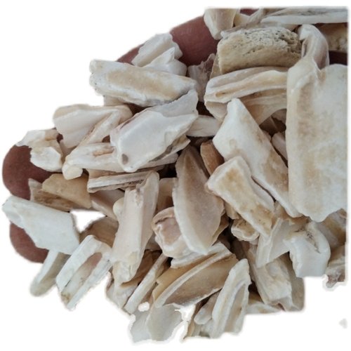 龙齿中药材 生 龙齿青龙齿 白龙齿 碎龙齿龙骨龙齿粉500克包邮 - 图3