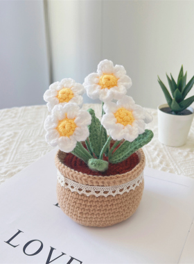 乐织手工DIY雏菊郁金香盆栽花束