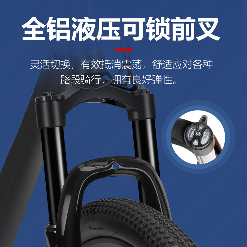 菲利普碳纤维29英寸山地自行车架 phillips山地自行车