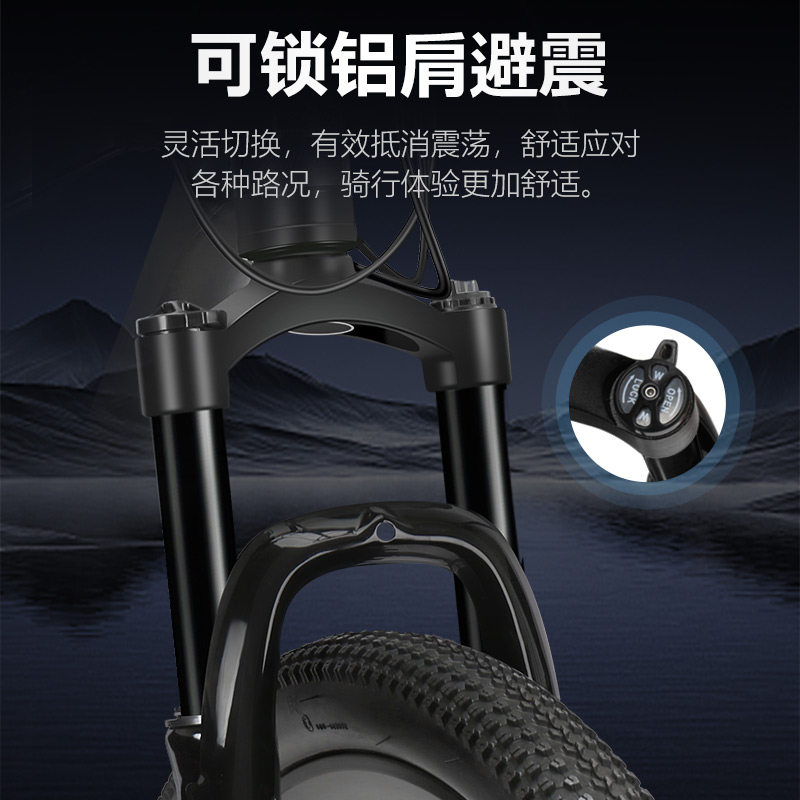  phillips山地自行车