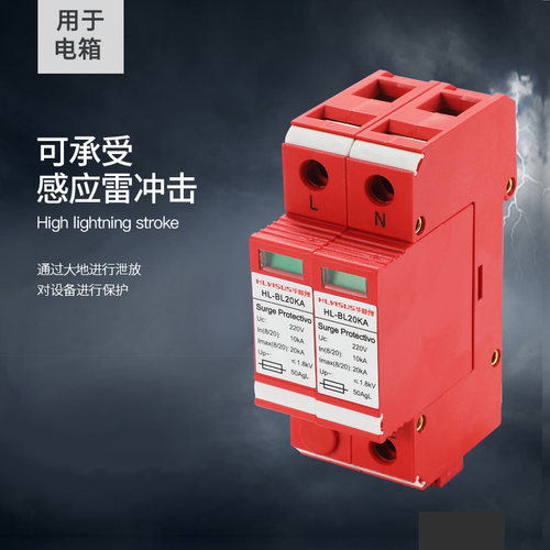 导轨电源防雷器二三级2P单相220V20KA电箱避雷家用浪涌保护器模块 - 图1