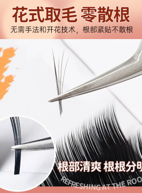 LC型狐系睫毛嫁接L型广角兔猫系国风漫画山茶花不散根美睫店专用