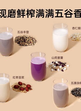 瑟诺东莞破壁机SERO商用