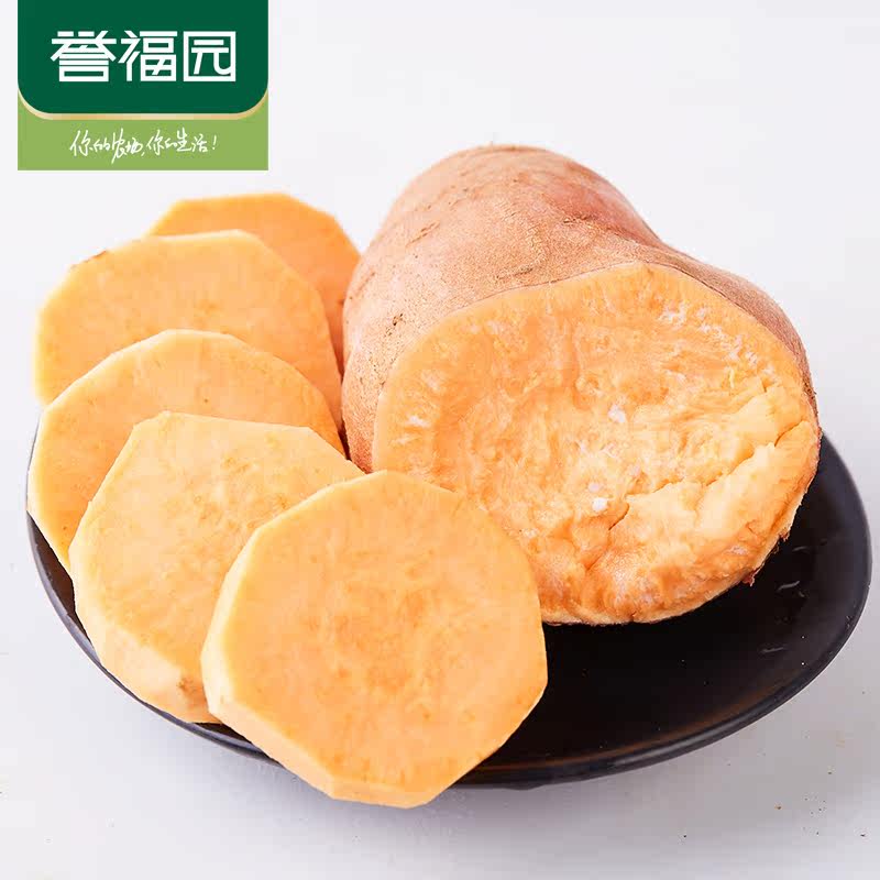 【誉福园】三峡高山种植蜜薯农家番薯 誉福园番薯