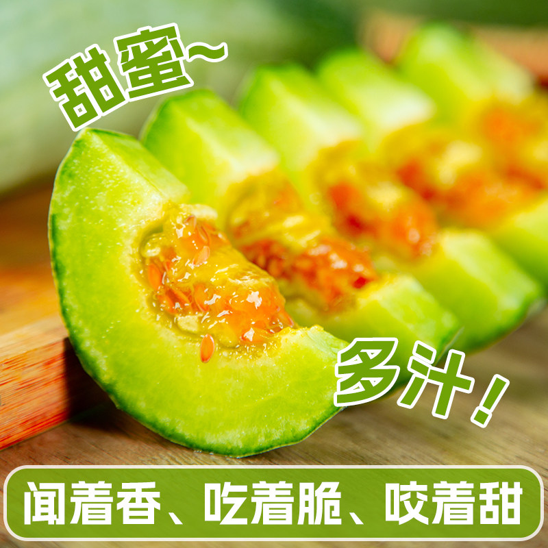 陕西阎良甜瓜正宗5斤水果新鲜应当季整箱包邮脆蜜瓜茬香瓜现摘10