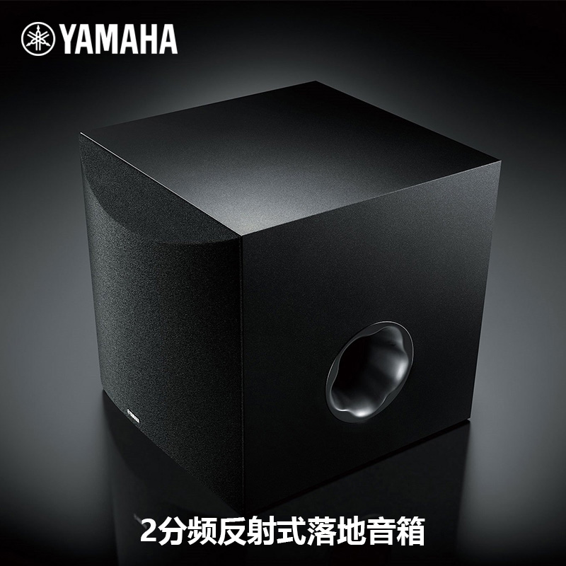 Yamaha/雅马哈 NS-SW100 家庭影院有源重低音炮音箱10寸家用音响 - 图2