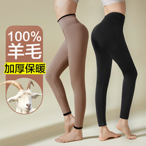 Constant Source Xiang Thickened Warm Pants Lady 100% Cotton Wool Padded Bottom Autumn Pants Winter Season Anti-Chill Line Pants Lining Pants