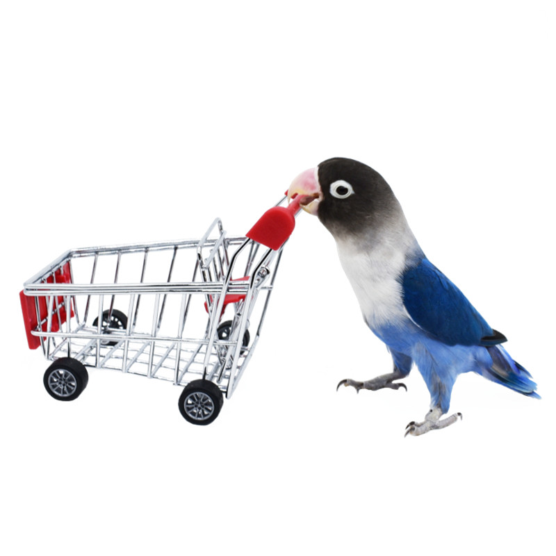 鹦鹉推车玩具小型虎皮小号超市购物车牡丹互动训练道具宠物鸟玩具,淘宝优惠券,粉丝福利购,淘宝优惠卷
