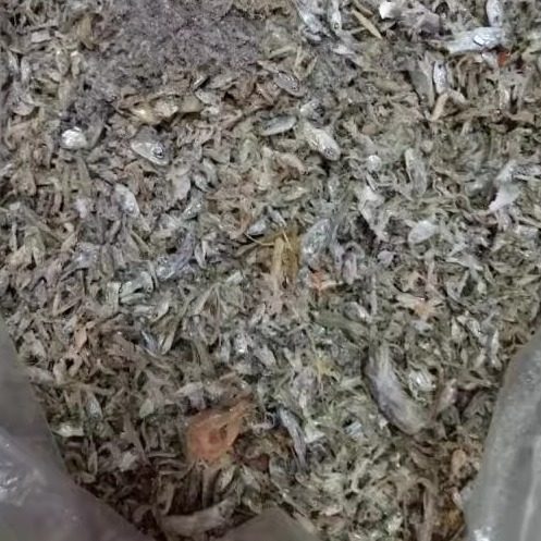 鱼粉鱼骨粉高钙宠物仓鼠猫狗粮鸟鸡鸭鹅猪家禽饲料补钙鱼渣500克,淘宝优惠券,粉丝福利购,淘宝优惠卷
