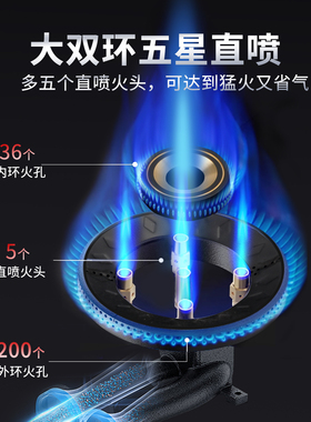 志高商用单灶猛火熄火保护燃气灶