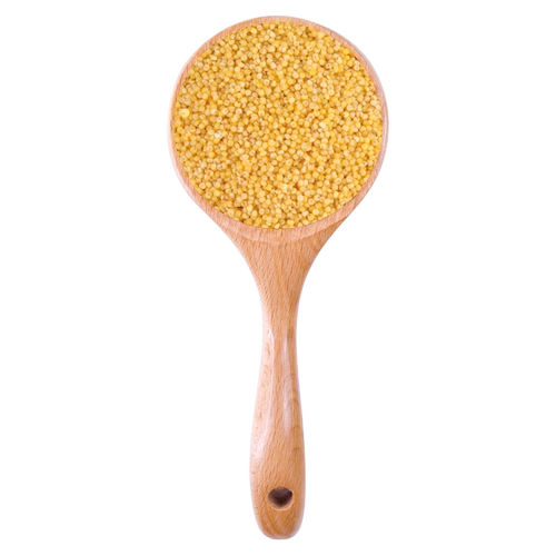 【联通直供】沽源坝莜域小米坝上农家黄小米500g - 图3