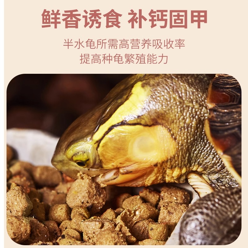 育归龟粮乌龟饲料繁育半水龟粮黄缘安缘锯缘枫叶龟补钙养殖场通用 - 图1